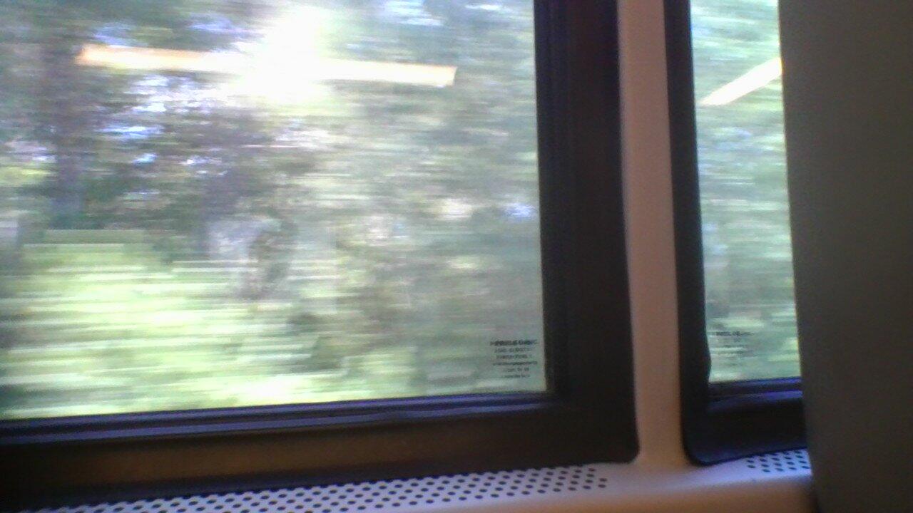 A random image I took on the train